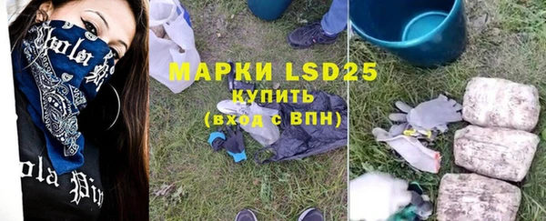индика Семилуки