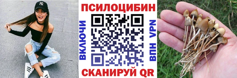 Галлюциногенные грибы MAGIC MUSHROOMS  Новоуральск 